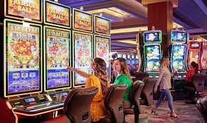 i9pet Live Casino